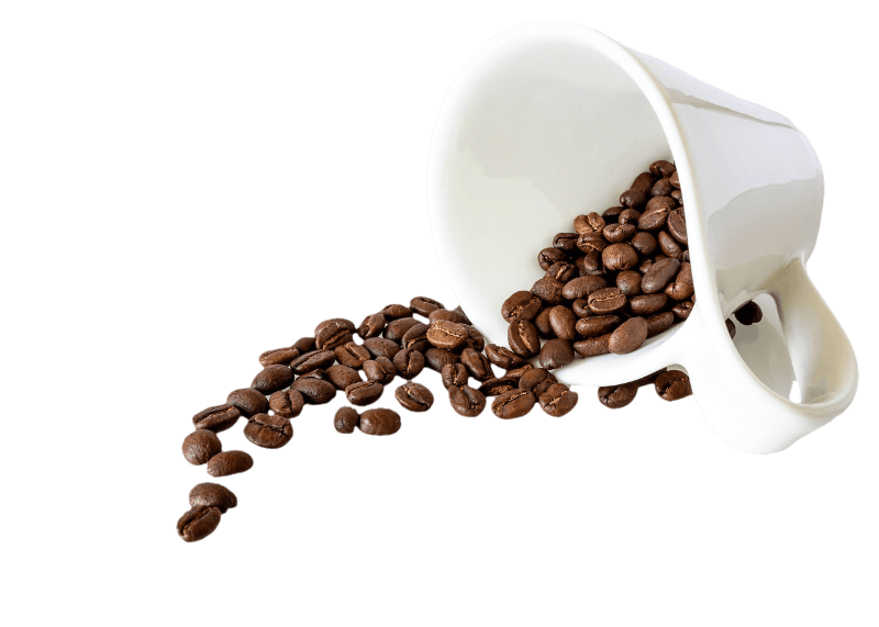 Coffee Beans in Cup